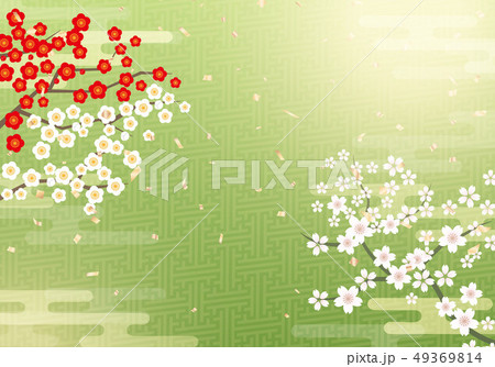 桜と日本風の背景のイラスト素材