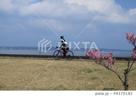 つくば霞ヶ浦りんりんロード、かすみがうら交流センター前 49370182