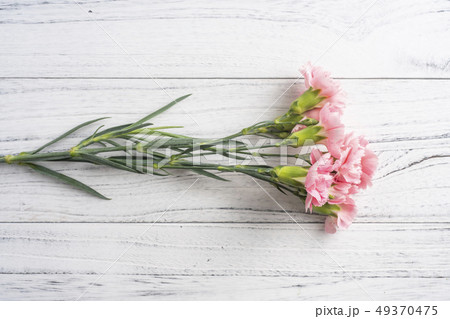 top view of carnation on white wooden background top view of carnation on white wooden background 49370475