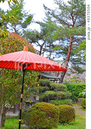 赤い和傘（野点傘）が映える日本庭園の風景の写真素材 [49370504] - PIXTA