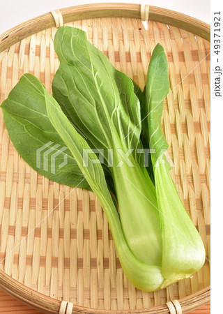 チンゲン菜 49371921
