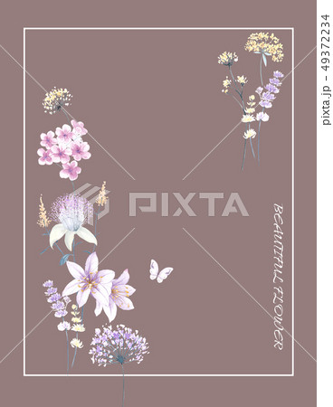 透明水彩 水彩画 花 49372234