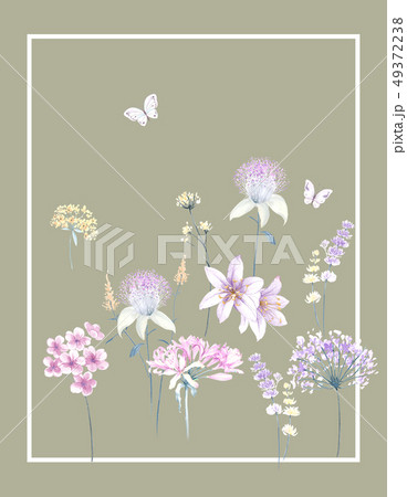 透明水彩 水彩画 花 49372238