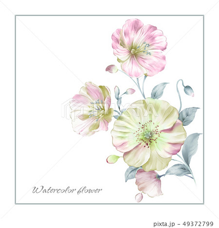 手绘盛开的花朵のイラスト素材 [49372799] - PIXTA