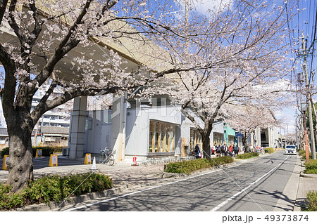名古屋市北区 名鉄瀬戸線 尼ヶ坂駅~清水駅間 SAKUMACHI商店街と桜並木 名古屋市北区 名鉄瀬戸線 尼ヶ坂駅~清水駅間 SAKUMACHI商店街と桜並木 49373874
