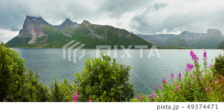 Fjord summer cloudy view, Norway Fjord summer cloudy view, Norway 49374471
