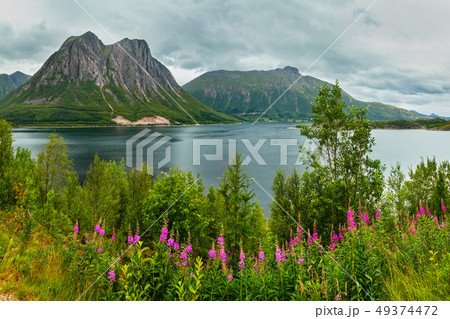 Fjord summer cloudy view, Norway Fjord summer cloudy view, Norway 49374472
