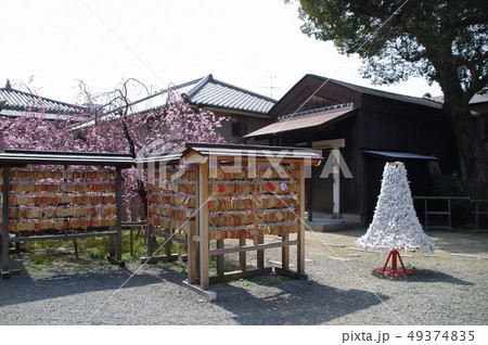 弓弦羽神社 49374835