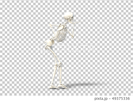 Skeleton skeleton skeleton perming3DCG illustrations material Skeleton skeleton skeleton perming3DCG illustrations material 49375336