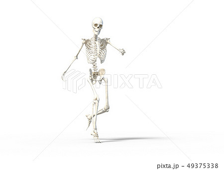 骸骨 骨格 スケルトンperming3dcg イラスト素材のイラスト素材