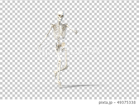 Skeleton skeleton skeleton perming3DCG illustrations material 49375338