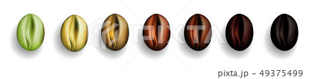 Various Stages of Coffee Beans Roasted Various Stages of Coffee Beans Roasted 49375499