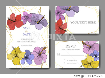 Vector Hibiscus floral tropical flowers. Engraved ink art. Wedding background card floral decorative 49375773