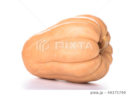 Pumpkin isolated on a white background. Copy space Pumpkin isolated on a white background. Copy space 49375799