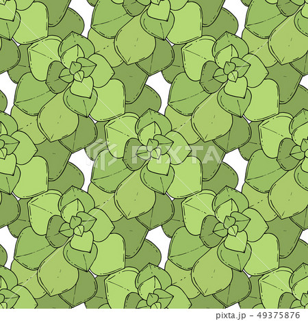 Vector Succulents floral botanical flower. Engraved ink art. Seamless background pattern. 49375876