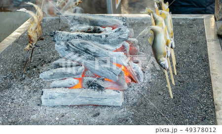 Grilled iwana or yamame fish 49378012