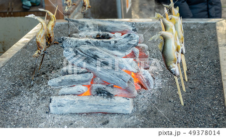 Grilled iwana or yamame fish 49378014