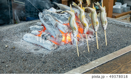 Grilled iwana or yamame fish Grilled iwana or yamame fish 49378018