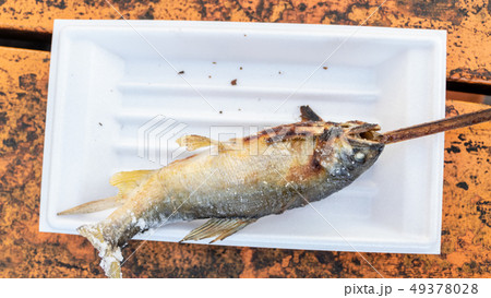 Grilled iwana or yamame fish 49378028