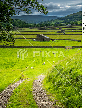 Old Stone Barns in Swaledale Old Stone Barns in Swaledale 49378332