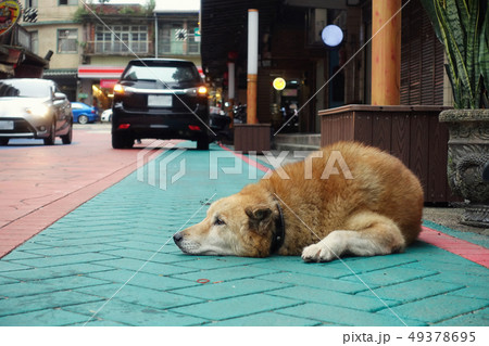 台湾鉄道瑞芳駅前の風景 台湾鉄道瑞芳駅前の風景 49378695