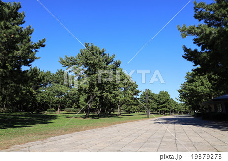 横浜市金沢区の海の公園の風景 49379273