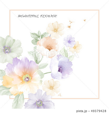 透明水彩 水彩画 花 49379428