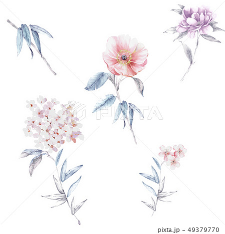 透明水彩 水彩画 花 49379770