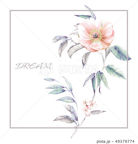 透明水彩 水彩画 花 49379774