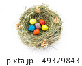 colored easter quail eggs in grass nest with bumps 49379843