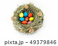colored easter quail eggs in grass nest with bumps 49379846