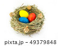 colored easter eggs in grass nest with bumps 49379848