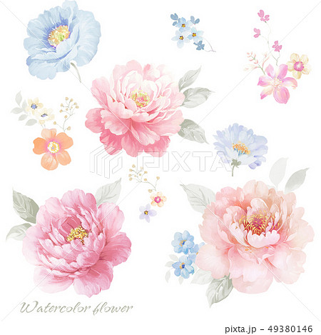 透明水彩 水彩画 花 49380146
