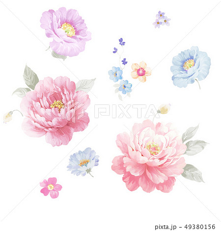 透明水彩 水彩画 花 49380156