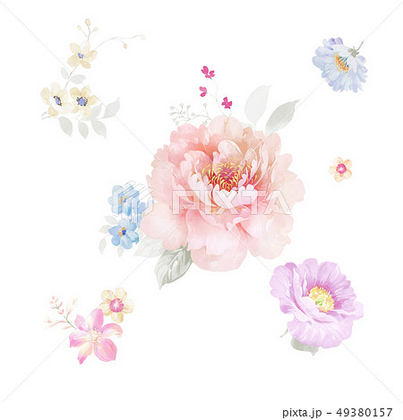 透明水彩 水彩画 花 49380157