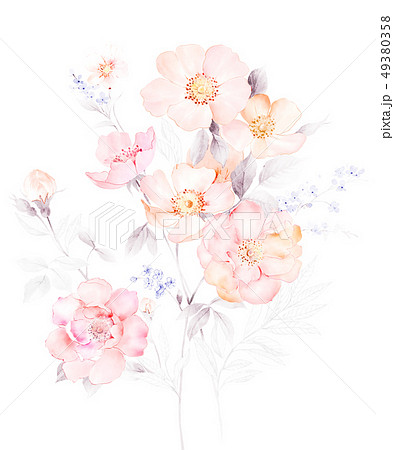 透明水彩 水彩画 花 49380358