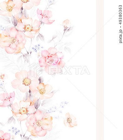 透明水彩 水彩画 花 49380363