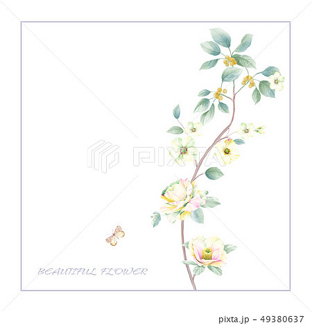 透明水彩 水彩画 花 49380637