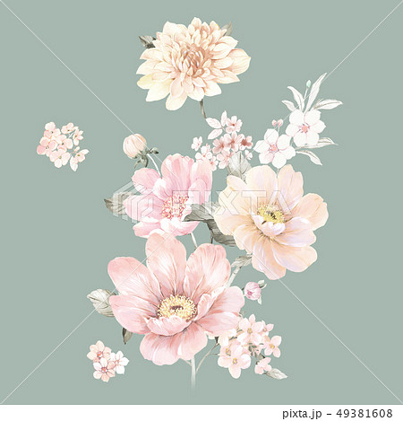 透明水彩 水彩画 花 49381608