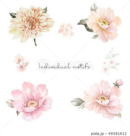 透明水彩 水彩画 花 49381612