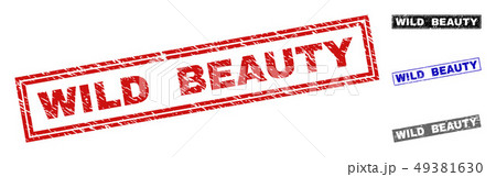 Grunge WILD BEAUTY Textured Rectangle Watermarks 49381630