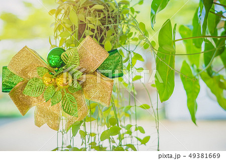A green ribbon with small ball for decorate A green ribbon with small ball for decorate 49381669