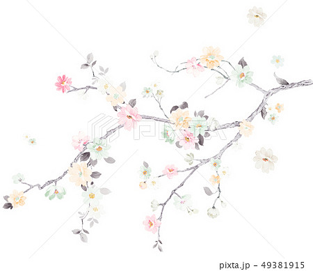 春 泉 湧水 49381915