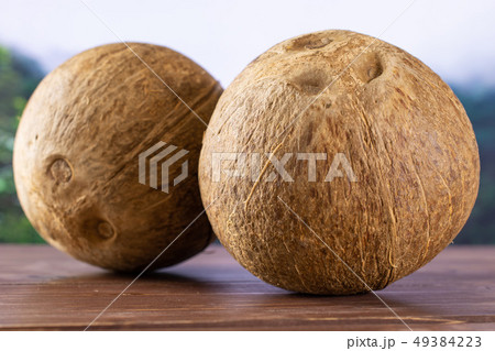 Fresh bio coconut in a jungle Fresh bio coconut in a jungle 49384223