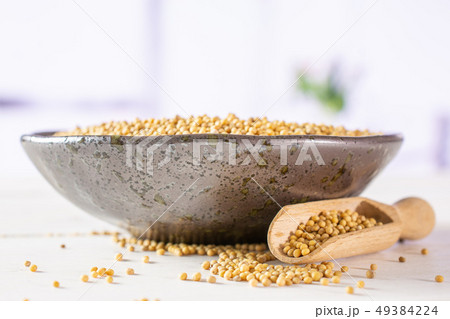 White mustard seeds with red tulips White mustard seeds with red tulips 49384224
