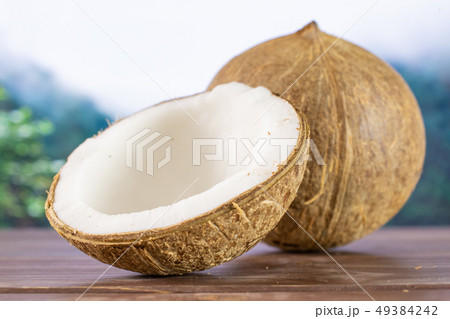 Fresh bio coconut in a jungle Fresh bio coconut in a jungle 49384242