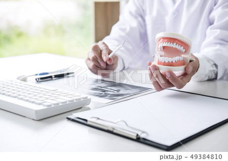 Dentist hand holding of jaw model of teeth and Dentist hand holding of jaw model of teeth and 49384810