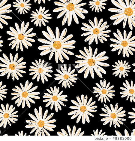 Daisy ꔛ‬ෆ様 Vintage Daisy flowers seamless vector pattern. - Stock