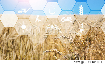 Digital sensor icons for management and monitoring agriculture Digital sensor icons for management and monitoring agriculture 49385001