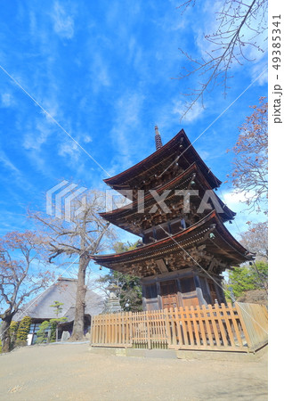 【長野県】晴天下の前山寺の三重塔と本堂 49385341